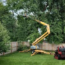 Best Commercial Tree Services  in Somerset, OH